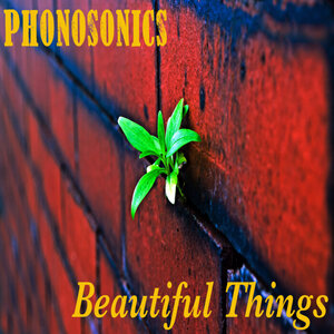 Phonosonics - Beautiful Things