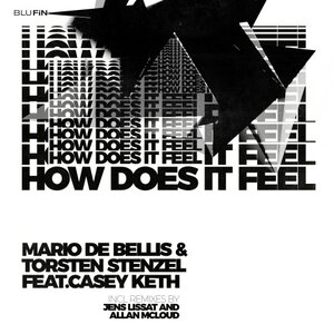 Mario De Bellis/Torsten Stenzel feat Casey Keth - How Does It Feel (Remixes)