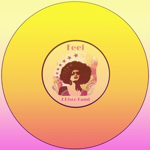 Z DISCO BAND FEAT ROBY ZICO - Feel