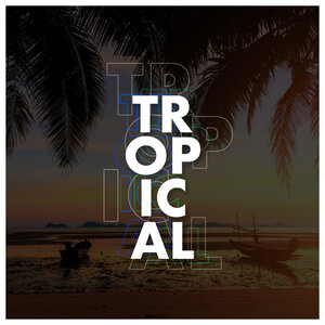 Tech House - Tropical