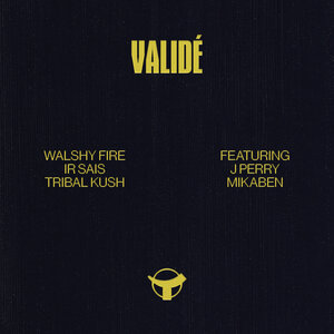 Walshy Fire/Ir Sais/Tribal Kush feat J Perry - Valide