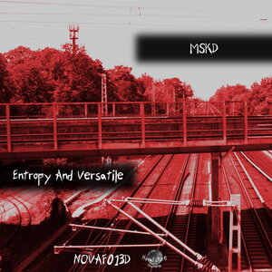 MSKD - Entropy And Versatile
