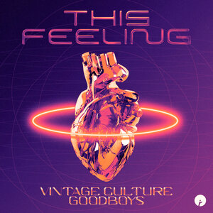 Vintage Culture/Goodboys - This Feeling