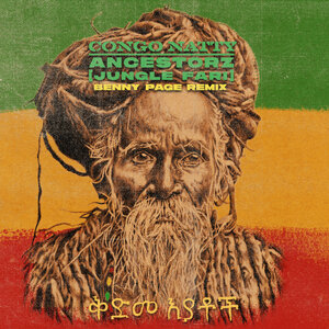 Congo Natty - Ancestorz (Jungle Fari) (Benny Page Remixes)