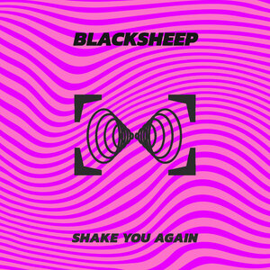BlackSheep - Shake You Again