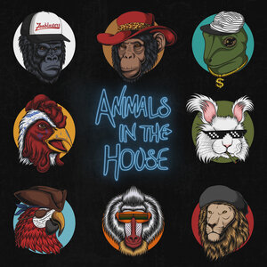 Animals In The House by Zooblasters on MP3, WAV, FLAC, AIFF & ALAC at Juno  Download