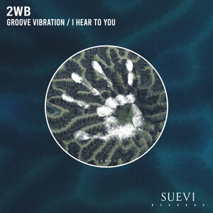 2WB - Groove Vibration / I Hear To You