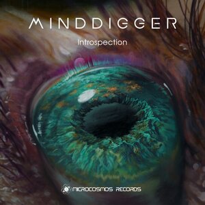 Minddigger - Introspection