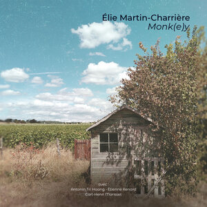 ELIE MARTIN-CHARRIERE - Monk(e)y
