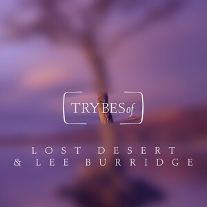 Lost Desert/Lee Burridge - Somebody Up There Likes You