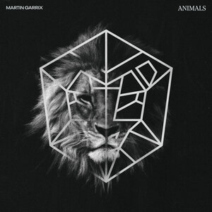 Animals by Martin Garrix on MP3, WAV, FLAC, AIFF & ALAC at Juno Download