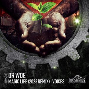 Dr Woe - Magic Life (2023 Remix)/Voices