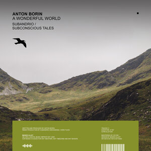 Anton Borin (RU) - A Wonderful World
