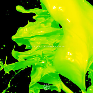 Various - Hate And Tenderness VII