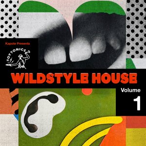 Kapote - Kapote Presents Toy Tonics Wildstyle House Vol 1