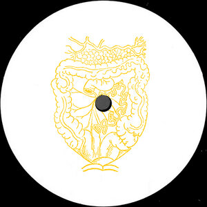 Scam Dust - Gastric Pulse