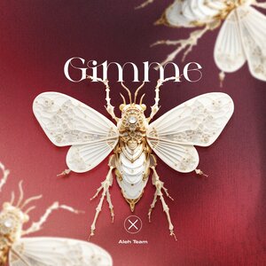 Aleh Team - Gimme (Extended Mix)