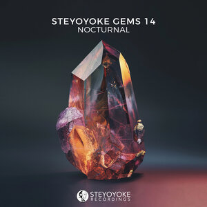 Various - Steyoyoke Gems Nocturnal 14