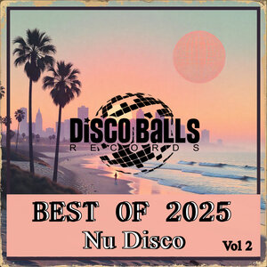NU DISCO RE EDIT DISCO DUB HOUSE レコード12