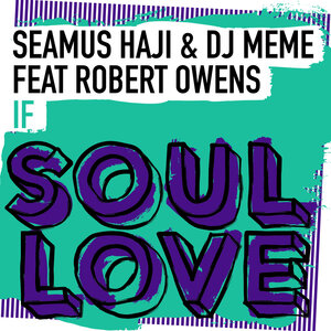 Seamus Haji / DJ Meme / Robert Owens - If