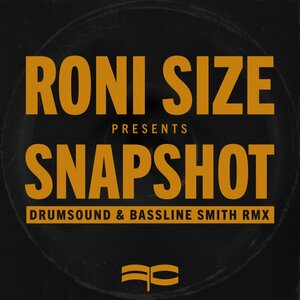 Roni Size - Snapshot (Drumsound & Bassline Smith Remix)
