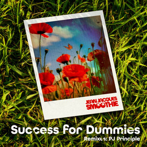 Jean Jacques Smoothie - Success For Dummies