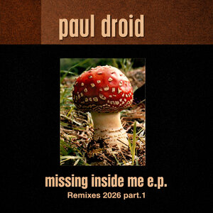 Paul Droid - Missing Inside Me (Remixes 2026 Part 1)