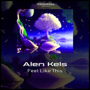 Alen Kels - Feel Like This