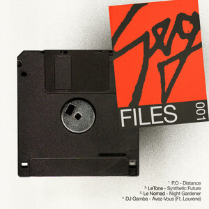 Various - Seguim Files Vol 1