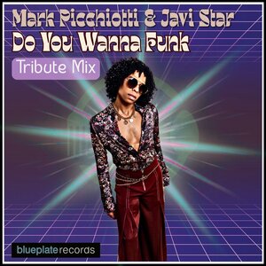 Mark Picchiotti - Do You Wanna Funk (Tribute Mix)