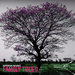 Family Tree 2 (unmixed tracks)