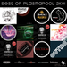 Best Of Plasmapool 2K9! (unmixed tracks)