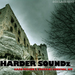 Harder Soundz Vol 1: Hard Techno & Schranz Survival Kit