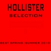 Hollister Selection: Best Spring/Summer 2010