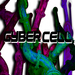 Cyber Cell