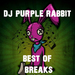 Best Of DJ Purple Rabbit: Breakbeat (Includes Free Track)