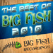 The Best Of Big Fish 2010 (unmixed tracks)