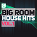 Big Room House Hits: Vol 1