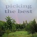 Picking The Best