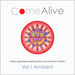 Wakyo Come Alive Compilation Vol 1 (Help Japanese Earthquake & Tsunami Victim)