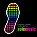 Solemusic: A Journey Through Soulful Genres