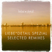 Liebe Detail Spezial (Selected Remixes)