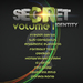 Secret Identity Vol 1