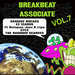 Breakbeat Associate Vol 7