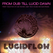 From Dub Till Lucid Dawn: Finest Selection Of Dub Techno Deep Tech House & Electronic (unmixed tracks)