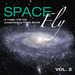 Space Fly, Vol  2 - A Magic Chill Trip Presented By Frank Borell
