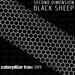 Black Sheep