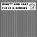 The 2012 Remixes