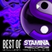 Best Of Stamina Records (unmixes tracks)
