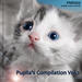 Pupila's Compilation Vol 2